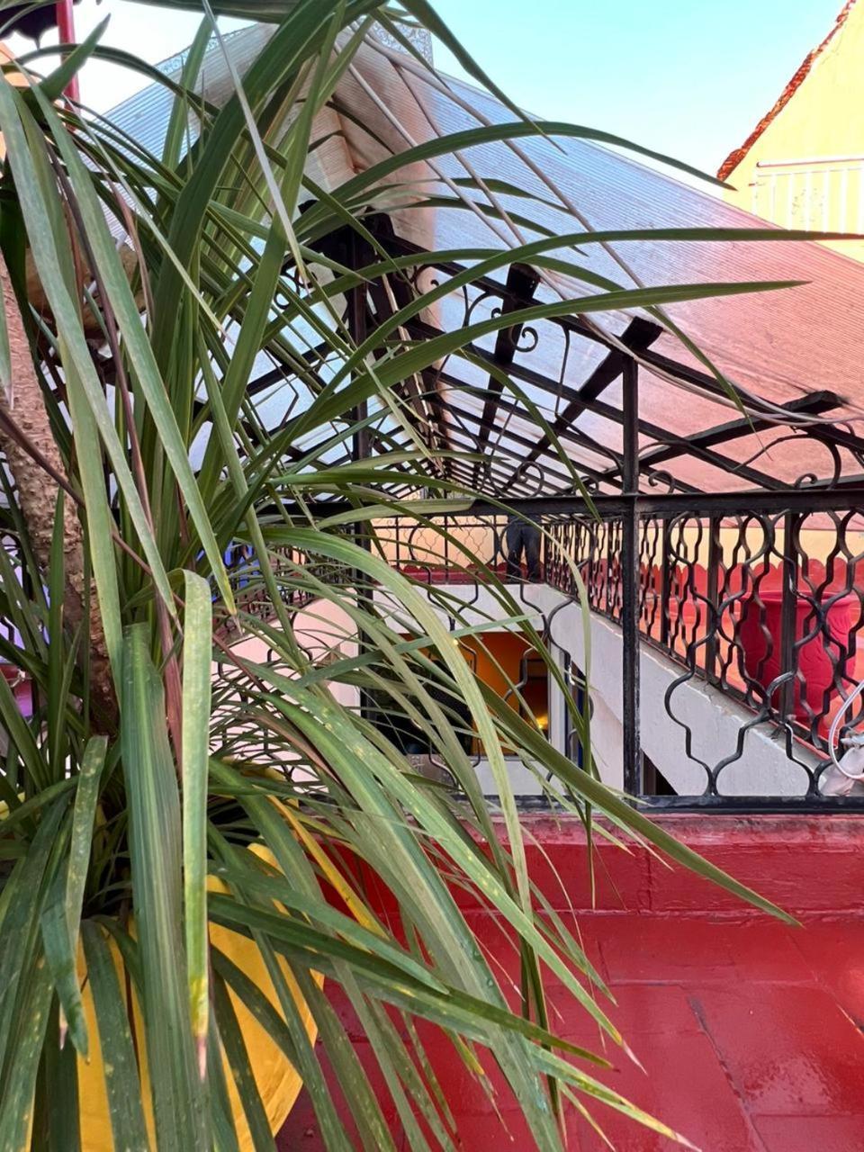 Riad Oyoune Rabat Dış mekan fotoğraf